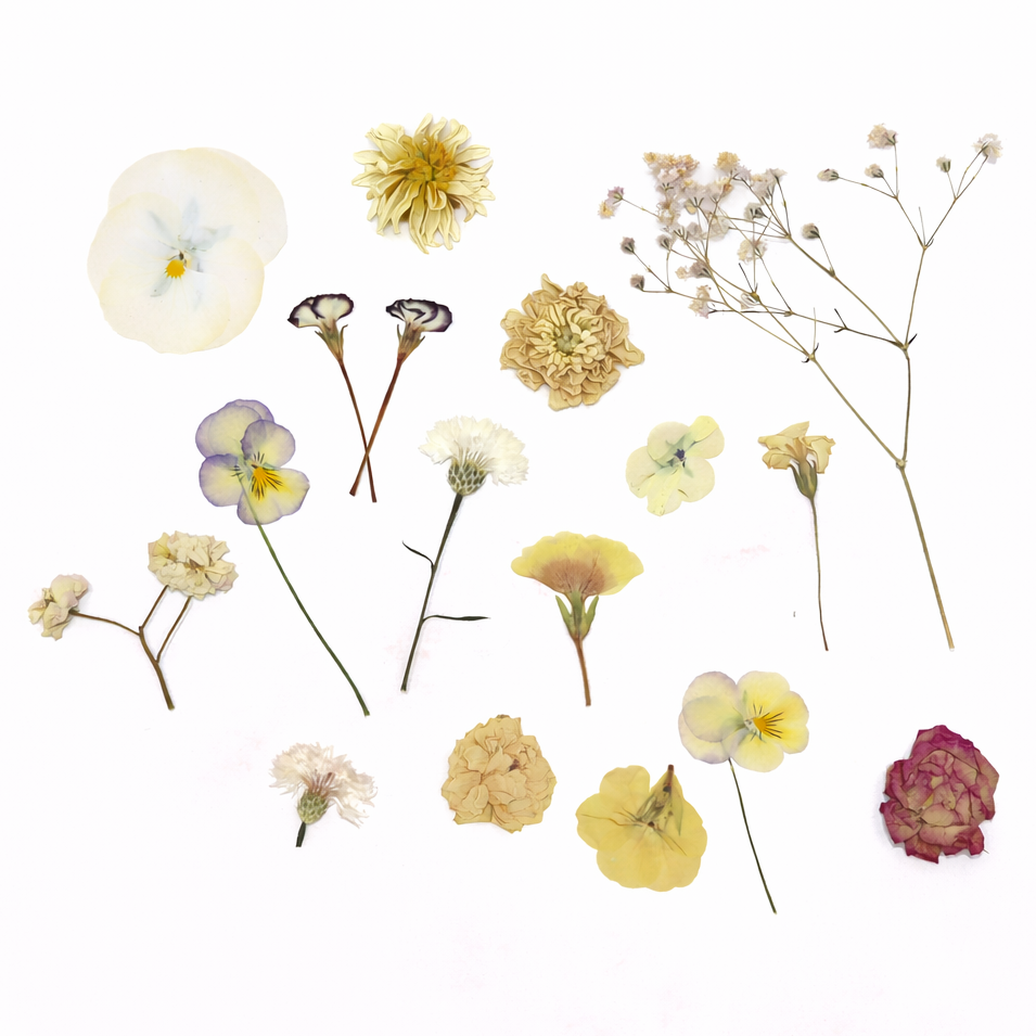 Zachte lichte kleuren geperste eetbare bloemen voor bruidstaarten