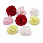Verse eetbare Anjer - Groot, geel rood roze wit