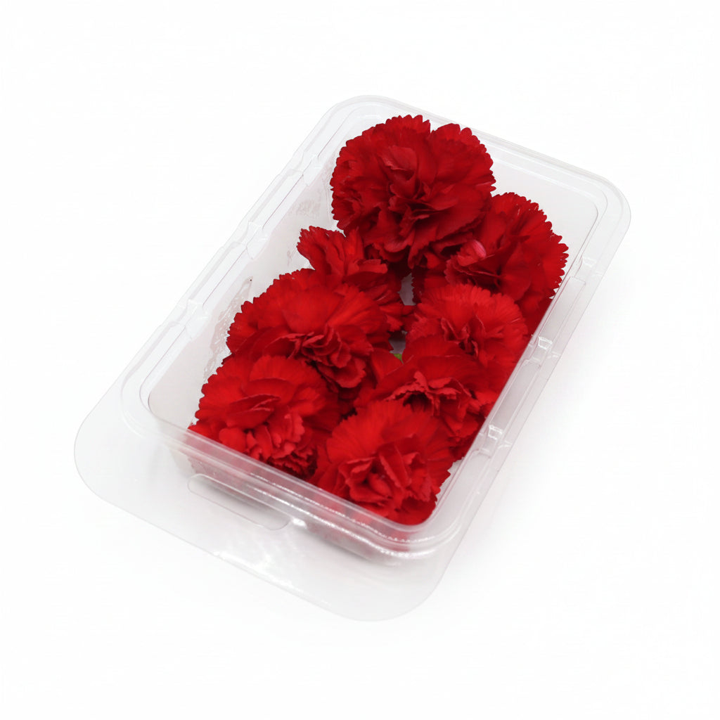 Verse eetbare Anjer - Groot, geel rood roze wit