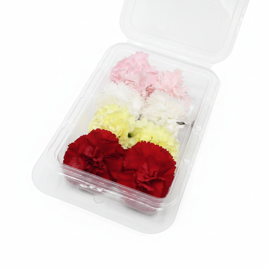Verse eetbare Anjer - Groot, geel rood roze wit