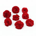 Verse eetbare Anjer - Groot, geel rood roze wit