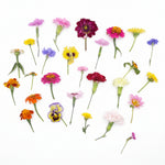 bloemenmix met klein steeltje 
