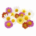 Flower Power