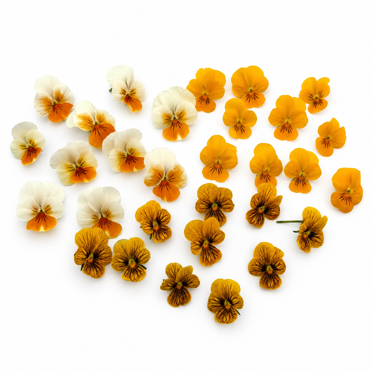 cocktail mix geel oranje
