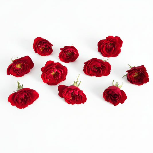 kleine eetbare rozen rood
