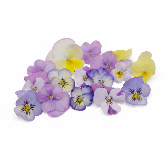 pastel eetbare viooltjes