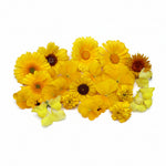 Vrolijke Mix. Eetbare bloemen. Oranje en geel. Edible Flowers. Floral Delight.