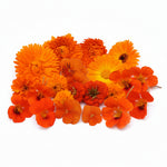 Vrolijke Mix. Eetbare bloemen. Oranje en geel. Edible Flowers. Floral Delight.