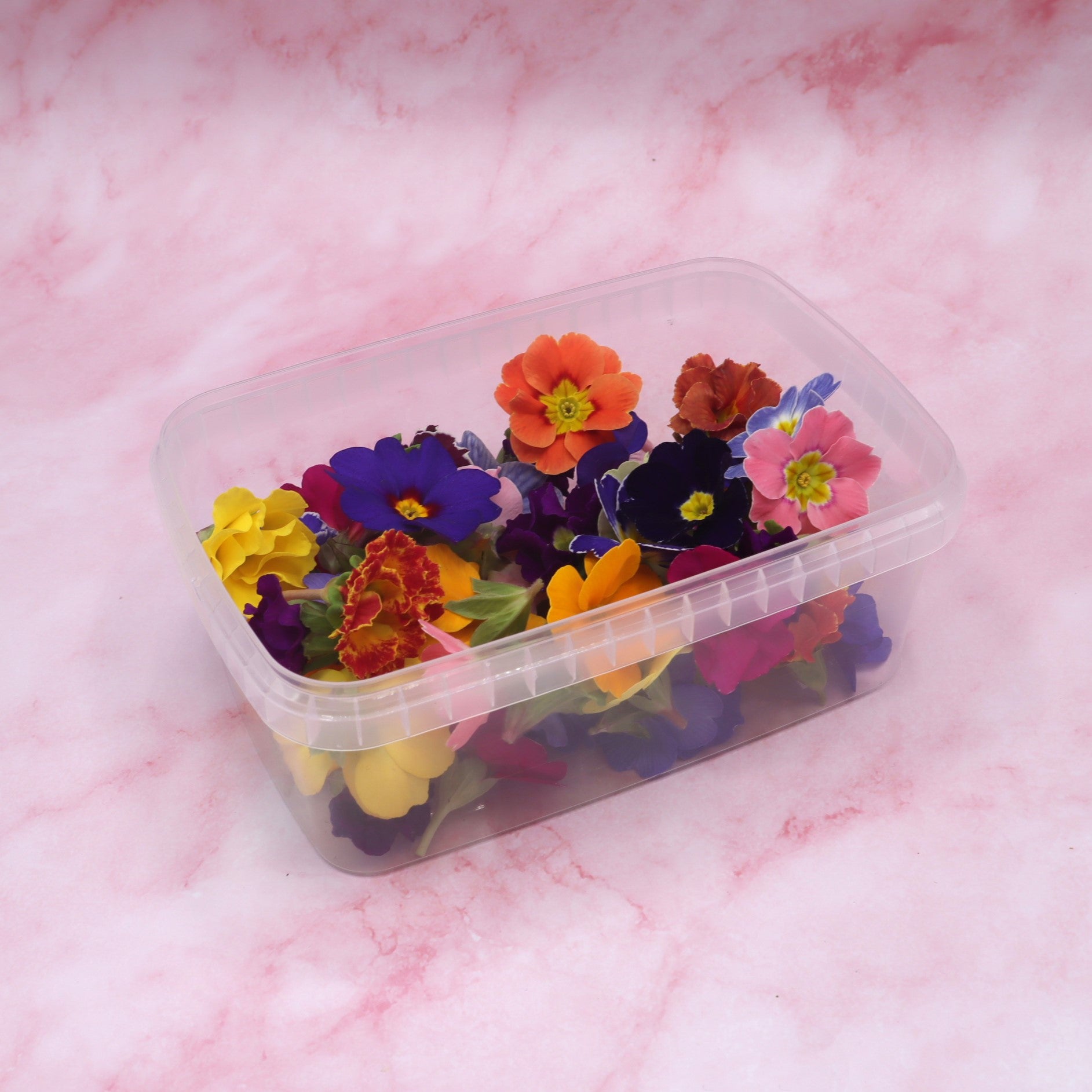 Eetbare bloemen Primula Primrose Cupcake taart cocktail mocktail champagne Floral Delight