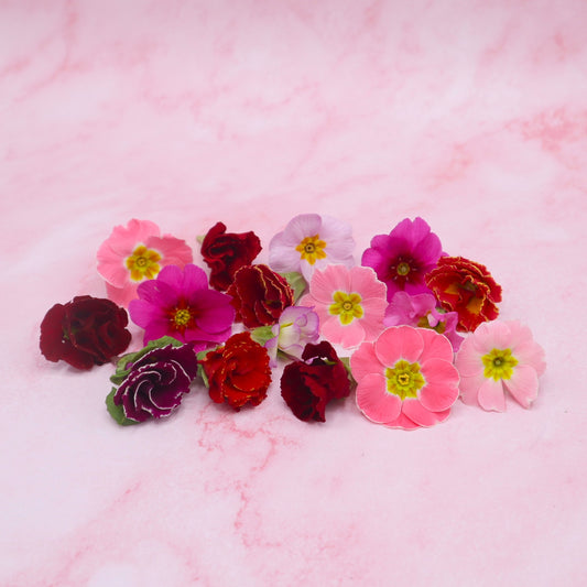 Liefdesmix Primula - Floral Delight