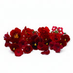 Rode eetbare bloemen. Liefde, valentijns eetbare bloemen. Viooltjes, anjer en primula van Floral Delight. Bruidstaart, cupcake, cocktails.