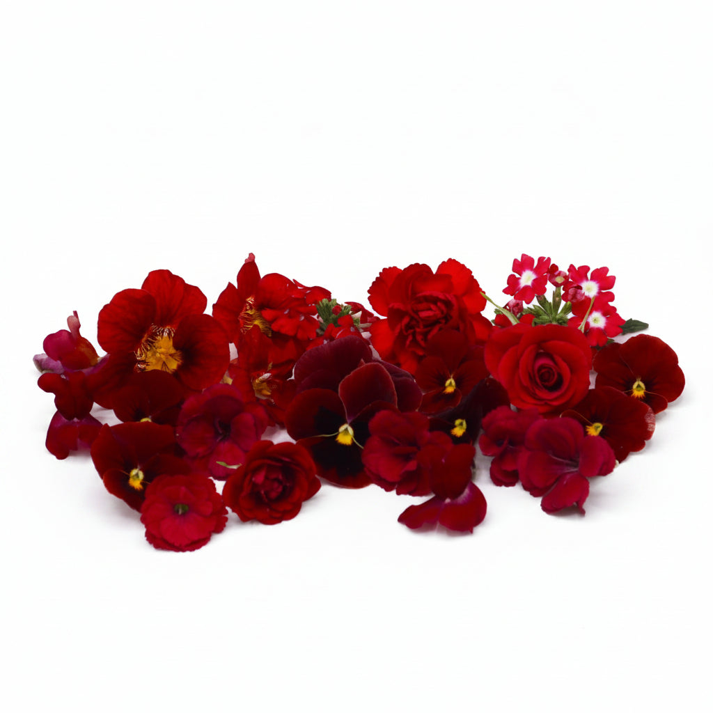 Rode eetbare bloemen. Liefde, valentijns eetbare bloemen. Viooltjes, anjer en primula van Floral Delight. Bruidstaart, cupcake, cocktails.