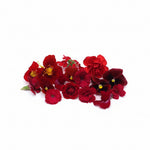Rode eetbare bloemen. Liefde, valentijns eetbare bloemen. Viooltjes, anjer en primula van Floral Delight. Bruidstaart, cupcake, cocktails.