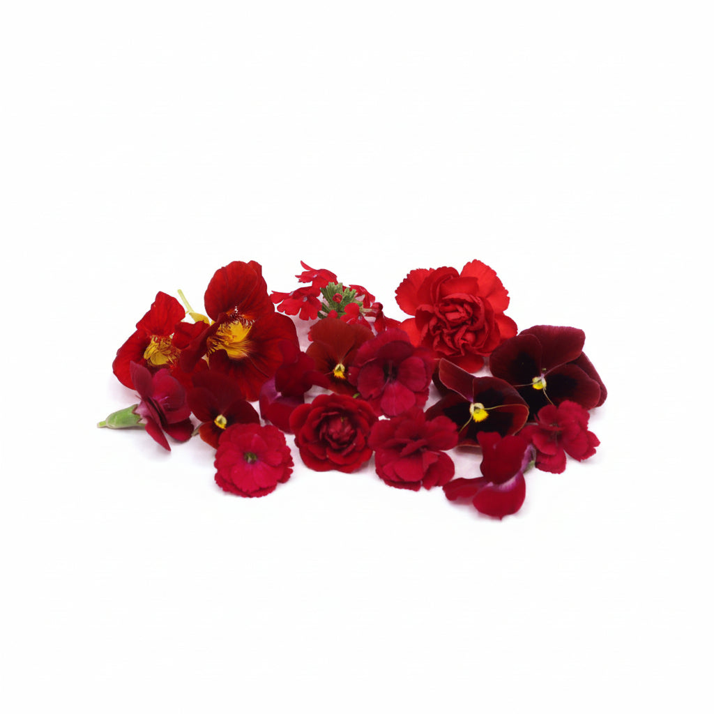 Rode eetbare bloemen. Liefde, valentijns eetbare bloemen. Viooltjes, anjer en primula van Floral Delight. Bruidstaart, cupcake, cocktails.