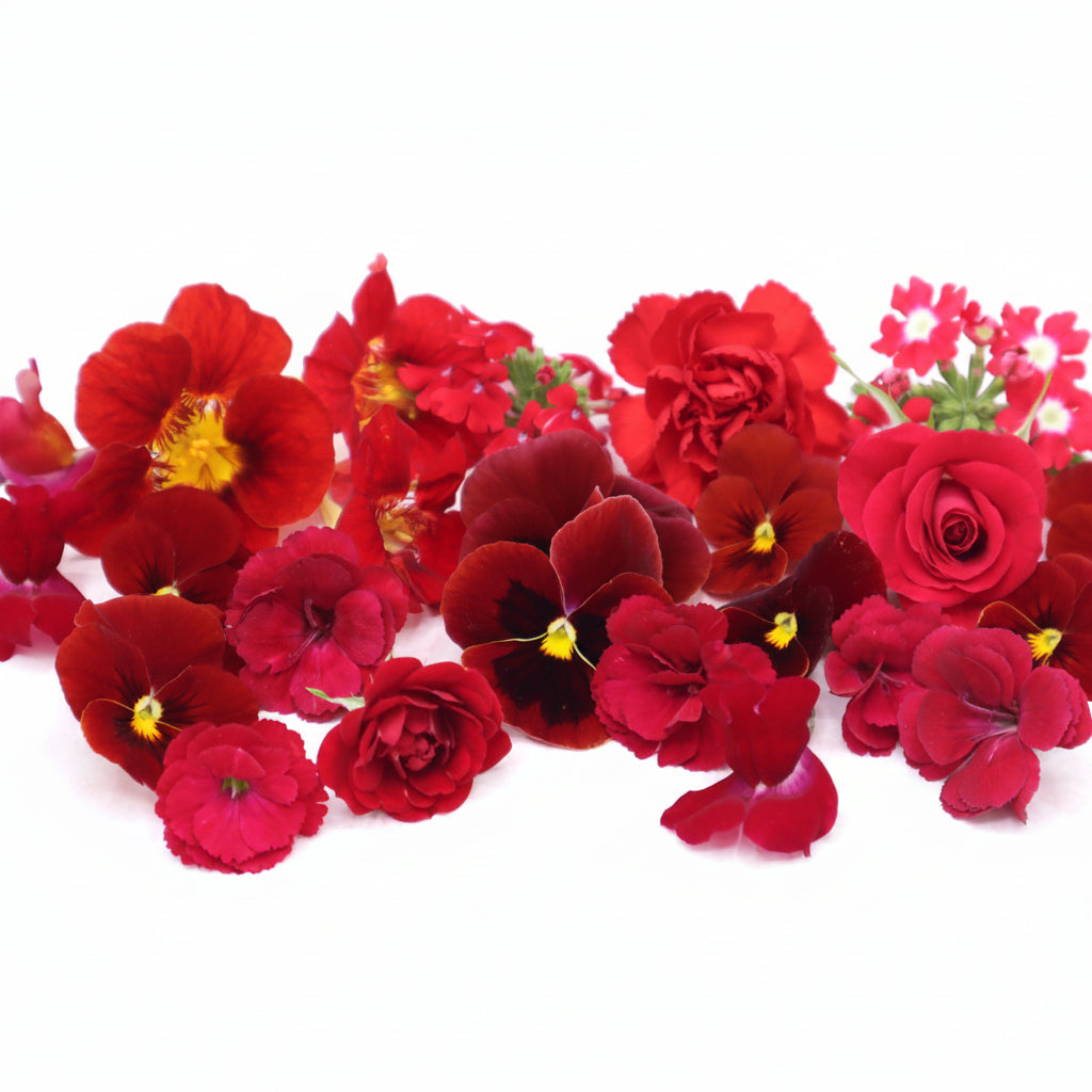 Rode eetbare bloemen. Liefde, valentijns eetbare bloemen. Viooltjes, anjer en primula van Floral Delight. Bruidstaart, cupcake, cocktails.
