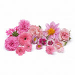 Roze eetbare bloemen mix. Romantische mix. lichtroze en donkerroze. Floral Delight
