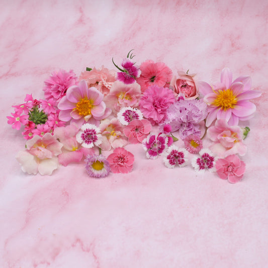 Roze eetbare bloemen mix. Romantische mix. lichtroze en donkerroze. Floral Delight