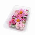 Roze eetbare bloemen mix. Romantische mix. lichtroze en donkerroze. Floral Delight