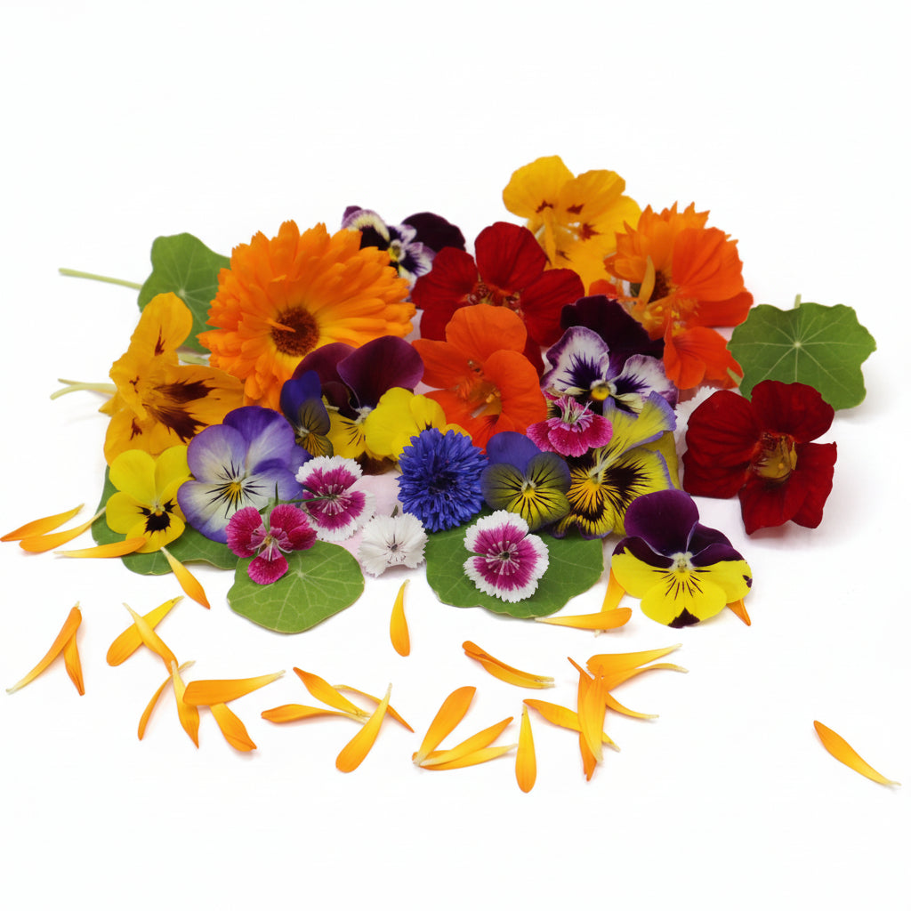 Salade Mix