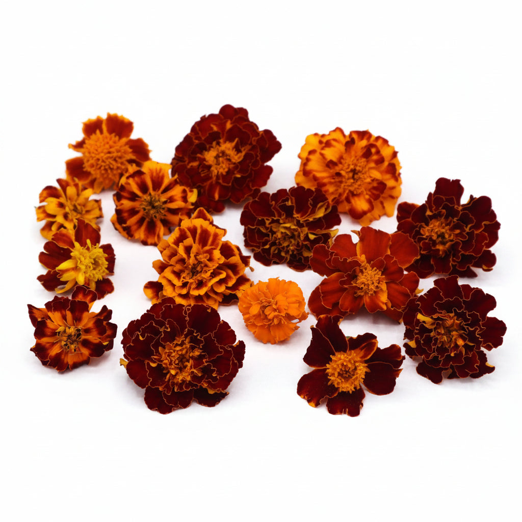 Tagetes vers, afrikaantje Eetbare bloemen. Floral Delight