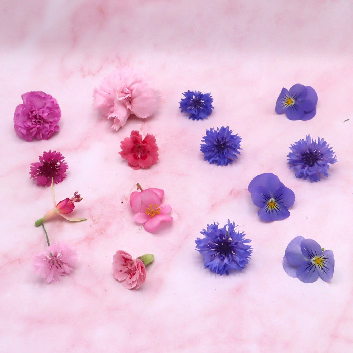 Roze blauwe eetbare bloemen mix. Gender reveal, baby, babyshower