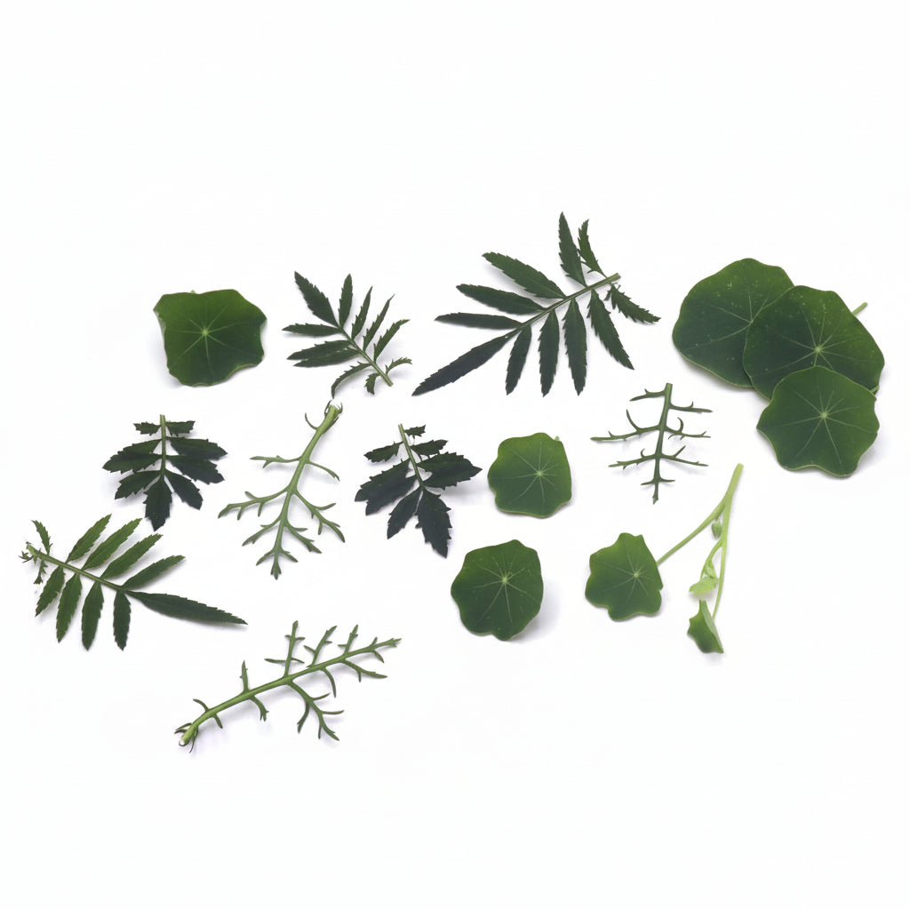 Groene eetbare bladeren mix van Floral Delight. Botanische twist voor taarten