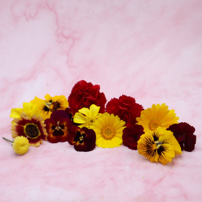 Sinterklaas mix. eetbare bloemen edible flowers. Rood en geel