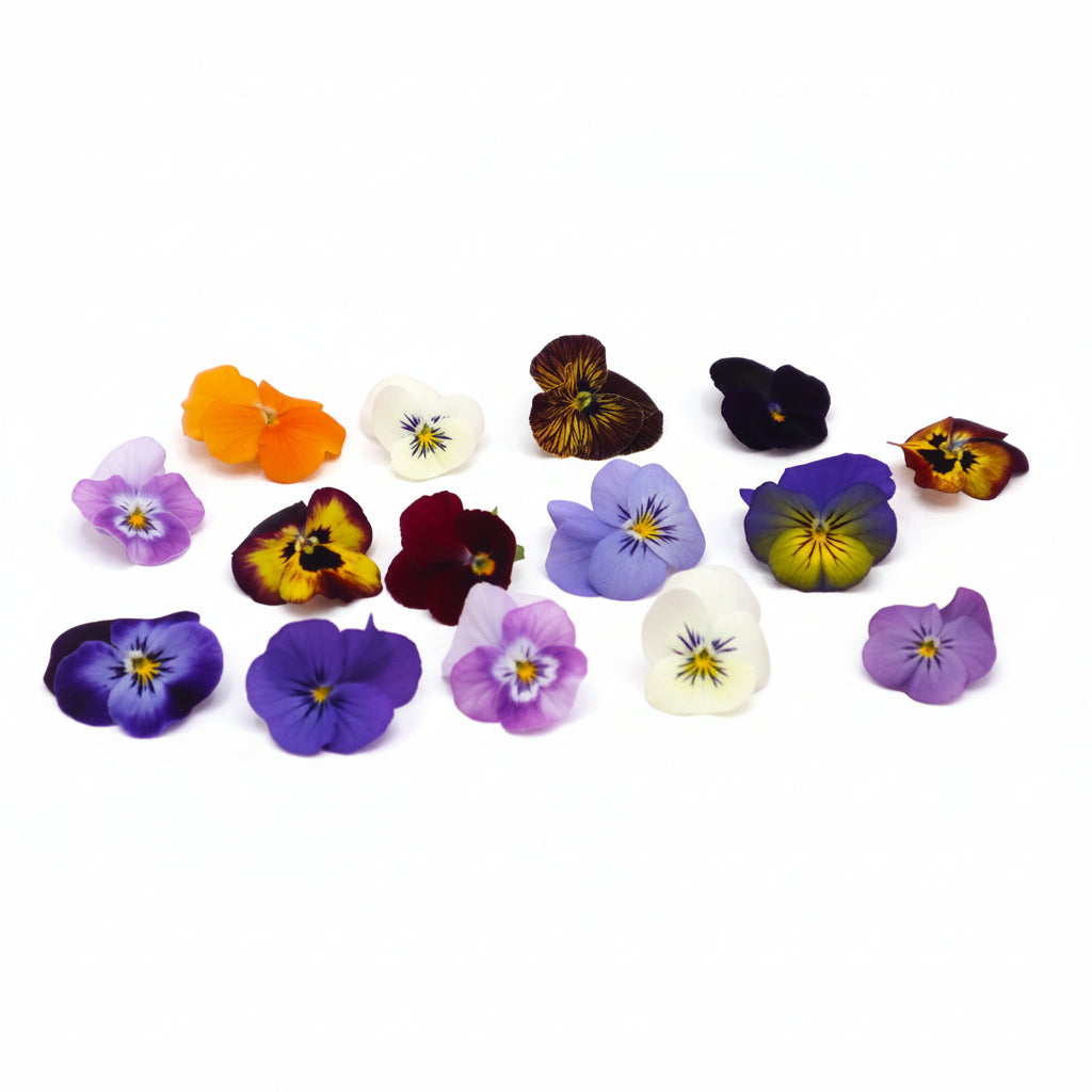 eetbare viooltjes. Kleine bosviool. Floral Delight