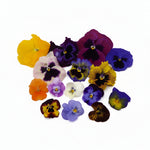 Eetbare violen. Grote en kleine violen mix