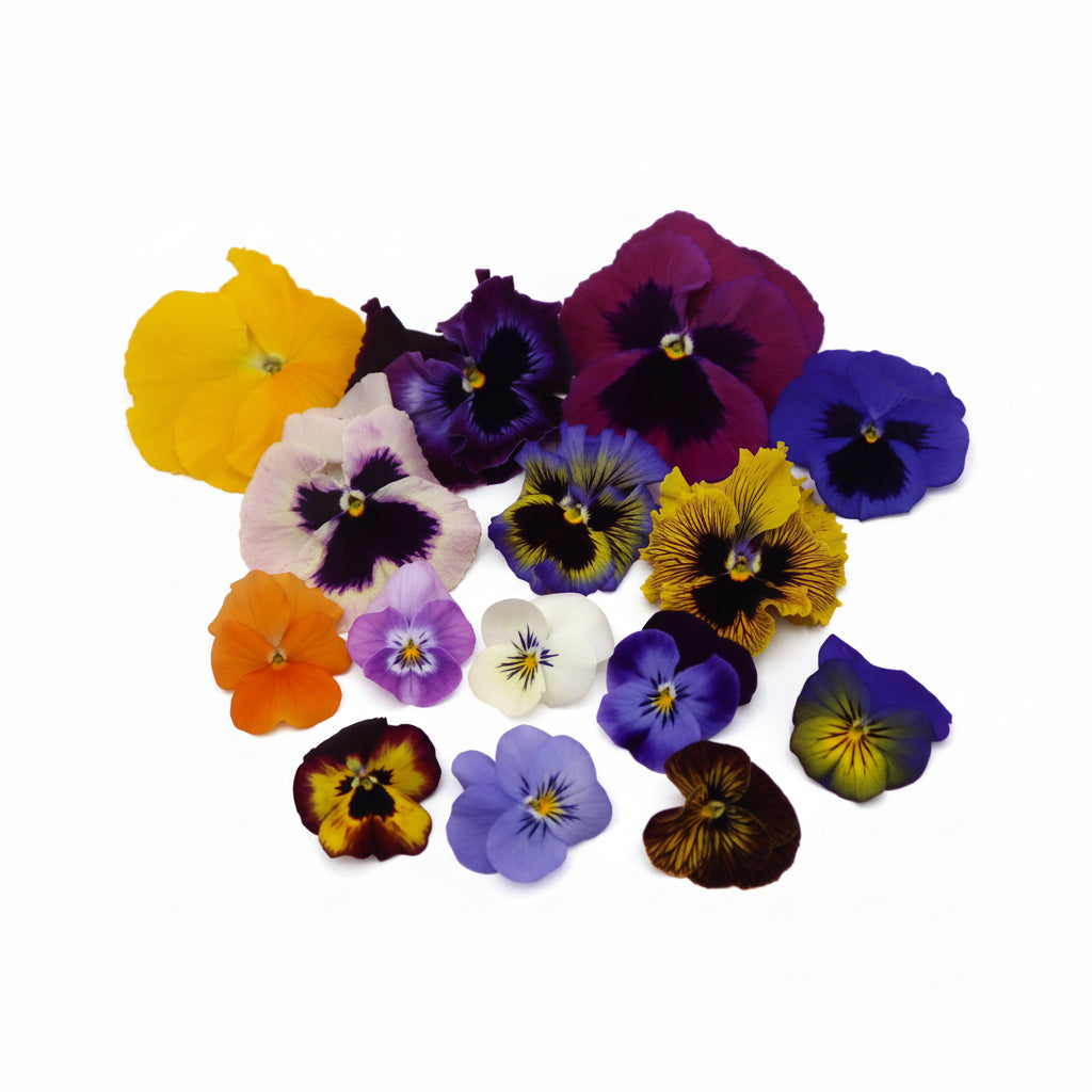 Eetbare violen. Grote en kleine violen mix