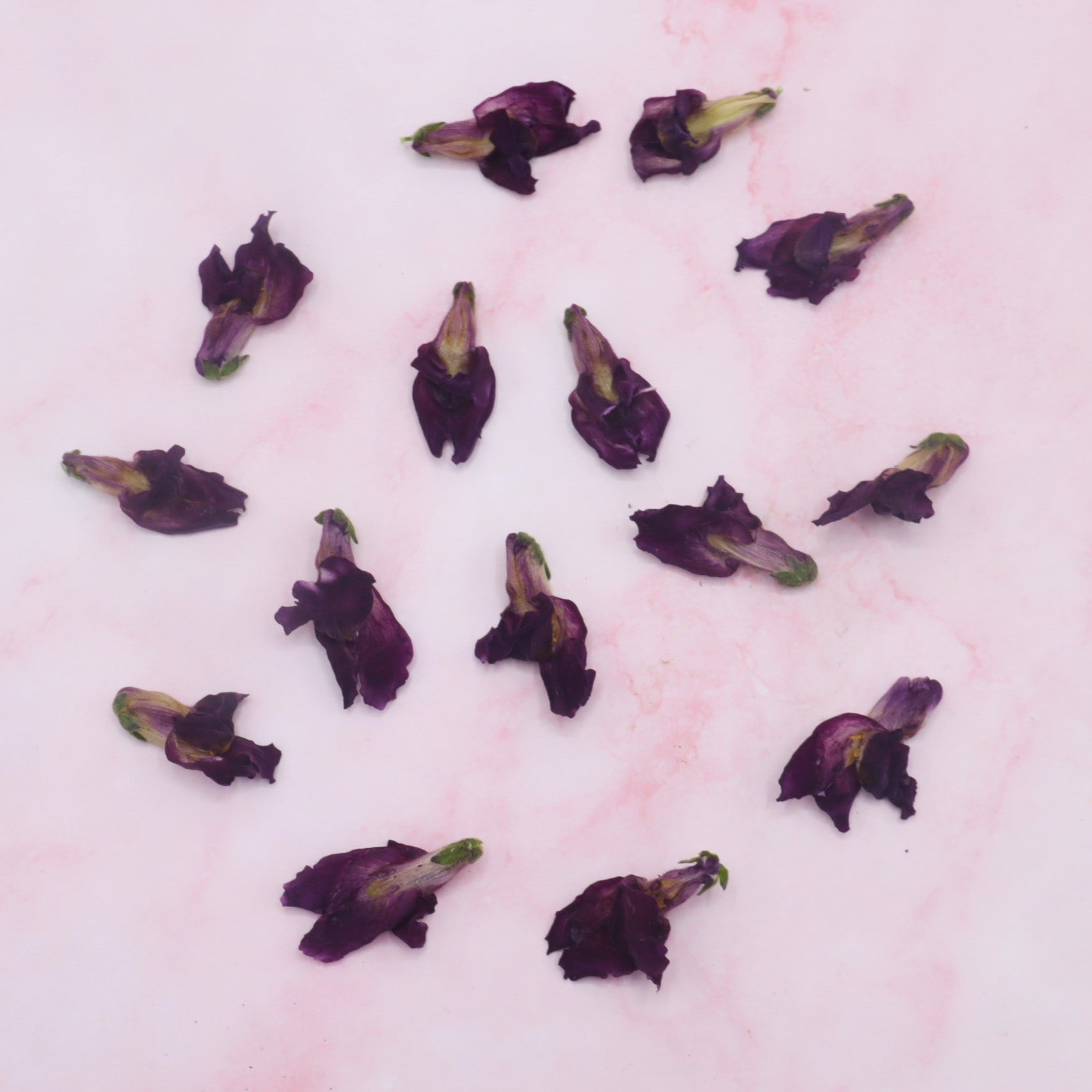 Gevriesdroogde leeuwenbek, edible freeze dried snapdragon, eetbare bloemen. Floral Delight online webshop 