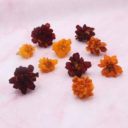 Gevriesdroogde Tagetes, Freeze dried edible flowers Marigold. Eetbare bloemen webshop bestellen Floral Delight